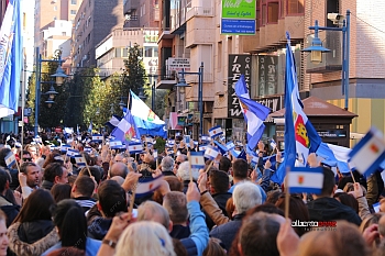 Manifestación 11N Talavera de la Reina