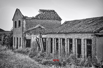 Palomar Abandonado