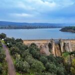 Portiña en Dron